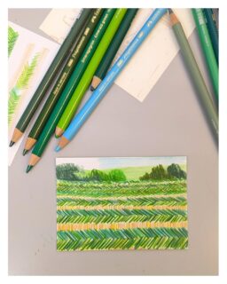 Colour fun. I will be showing my new colour studies at @totterdownarttrail this weekend. They will be on the wall at 13 Hawthorne Street if you would like to come and have a look and chat about the joys of colour pencils.